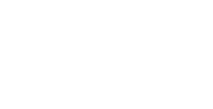 bluestone-community-logo-white